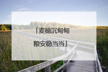 麦穗沉甸甸 粮安稳当当