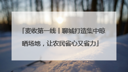 麦收第一线丨聊城打造集中晾晒场地，让农民省心又省力
