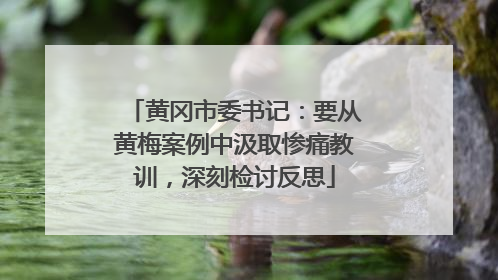 黄冈市委书记：要从黄梅案例中汲取惨痛教训，深刻检讨反思