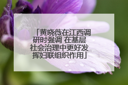 黄晓薇在江西调研时强调 在基层社会治理中更好发挥妇联组织作用