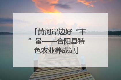 黄河岸边好“丰”景——合阳县特色农业养成记