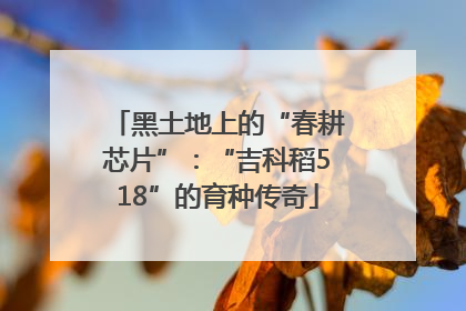 黑土地上的“春耕芯片”：“吉科稻518”的育种传奇