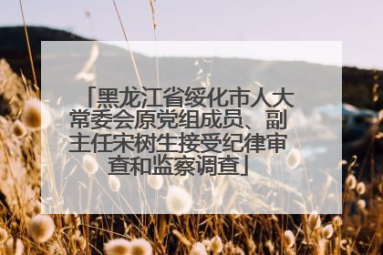 黑龙江省绥化市人大常委会原党组成员、副主任宋树生接受纪律审查和监察调查