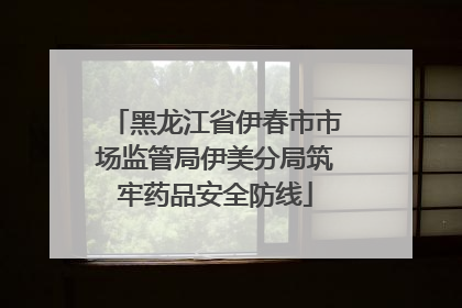 黑龙江省伊春市市场监管局伊美分局筑牢药品安全防线