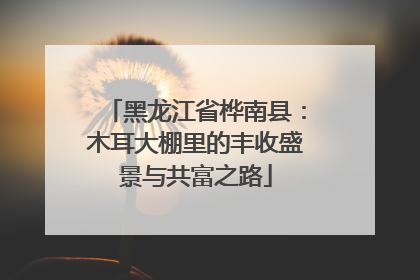 黑龙江省桦南县：木耳大棚里的丰收盛景与共富之路
