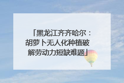 黑龙江齐齐哈尔：胡萝卜无人化种植破解劳动力短缺难题
