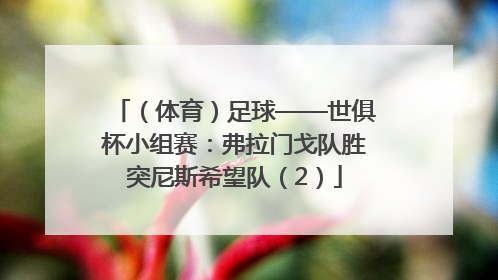 （体育）足球——世俱杯小组赛：弗拉门戈队胜突尼斯希望队（2）