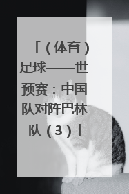 （体育）足球——世预赛：中国队对阵巴林队（3）