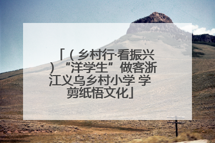 （乡村行·看振兴）“洋学生”做客浙江义乌乡村小学 学剪纸悟文化
