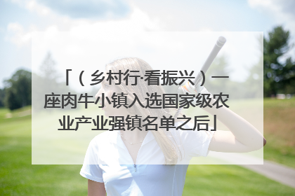 （乡村行·看振兴）一座肉牛小镇入选国家级农业产业强镇名单之后