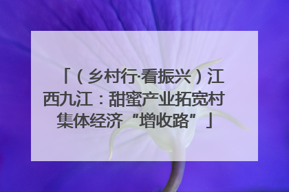 （乡村行·看振兴）江西九江：甜蜜产业拓宽村集体经济“增收路”