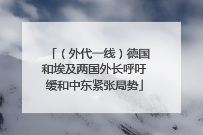 （外代一线）德国和埃及两国外长呼吁缓和中东紧张局势