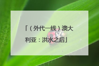 （外代一线）澳大利亚：洪水之后