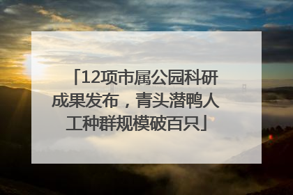12项市属公园科研成果发布，青头潜鸭人工种群规模破百只