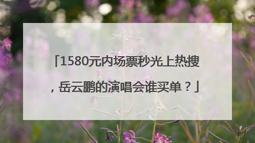 1580元内场票秒光上热搜，岳云鹏的演唱会谁买单？