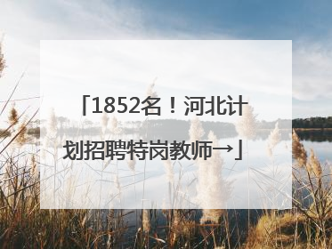1852名！河北计划招聘特岗教师→