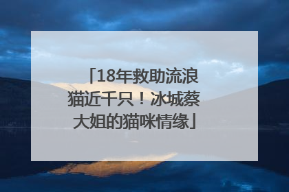 18年救助流浪猫近千只！冰城蔡大姐的猫咪情缘