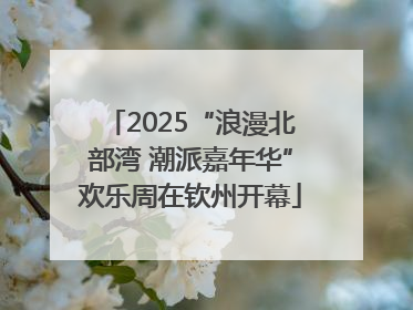 2025“浪漫北部湾 潮派嘉年华”欢乐周在钦州开幕