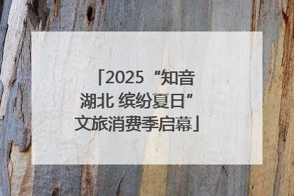 2025“知音湖北 缤纷夏日”文旅消费季启幕