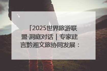 2025世界旅游联盟·洞庭对话｜专家建言黔湘文旅协同发展：聚焦产品稀缺性 深化区域经验共享
