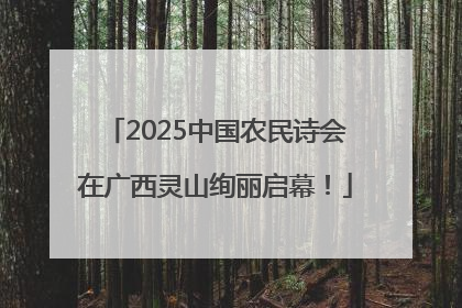 2025中国农民诗会在广西灵山绚丽启幕！
