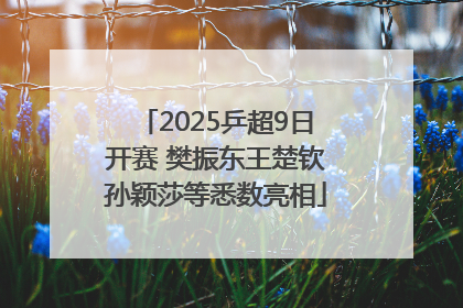 2025乒超9日开赛 樊振东王楚钦孙颖莎等悉数亮相