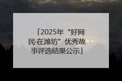 2025年“好网民·在潍坊”优秀故事评选结果公示