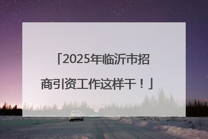 2025年临沂市招商引资工作这样干！