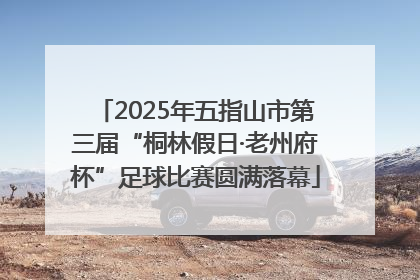 2025年五指山市第三届“桐林假日·老州府杯”足球比赛圆满落幕