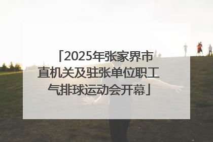 2025年张家界市直机关及驻张单位职工气排球运动会开幕