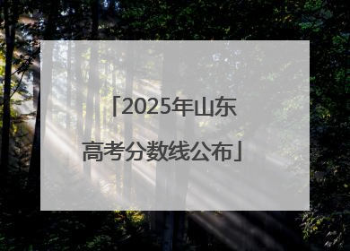 2025年山东高考分数线公布