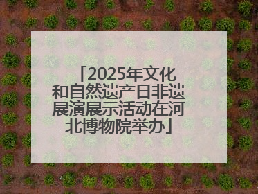 2025年文化和自然遗产日非遗展演展示活动在河北博物院举办
