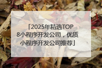 2025年精选TOP8小程序开发公司，优质小程序开发公司推荐