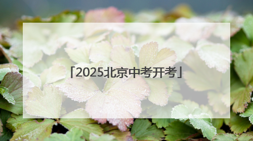2025北京中考开考