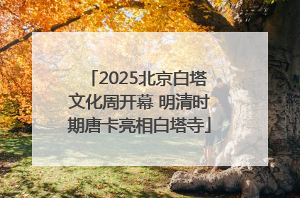 2025北京白塔文化周开幕 明清时期唐卡亮相白塔寺