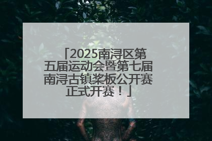 2025南浔区第五届运动会暨第七届南浔古镇桨板公开赛正式开赛！