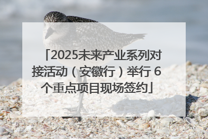 2025未来产业系列对接活动（安徽行）举行 6个重点项目现场签约