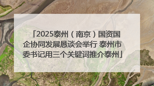 2025泰州（南京）国资国企协同发展恳谈会举行 泰州市委书记用三个关键词推介泰州