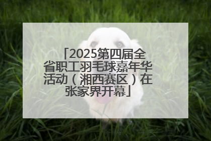 2025第四届全省职工羽毛球嘉年华活动（湘西赛区）在张家界开幕