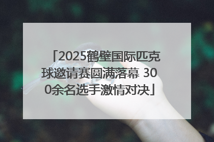 2025鹤壁国际匹克球邀请赛圆满落幕 300余名选手激情对决