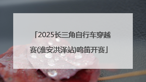 2025长三角自行车穿越赛(淮安洪泽站)鸣笛开赛