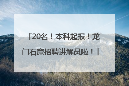 20名！本科起报！龙门石窟招聘讲解员啦！