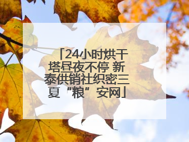 24小时烘干塔昼夜不停 新泰供销社织密三夏“粮”安网