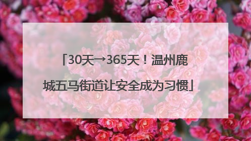 30天→365天！温州鹿城五马街道让安全成为习惯