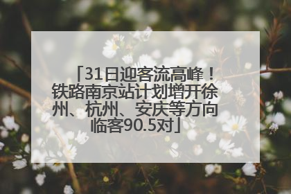 31日迎客流高峰！铁路南京站计划增开徐州、杭州、安庆等方向临客90.5对