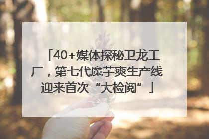 40+媒体探秘卫龙工厂，第七代魔芋爽生产线迎来首次“大检阅”