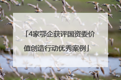 4家鄂企获评国资委价值创造行动优秀案例