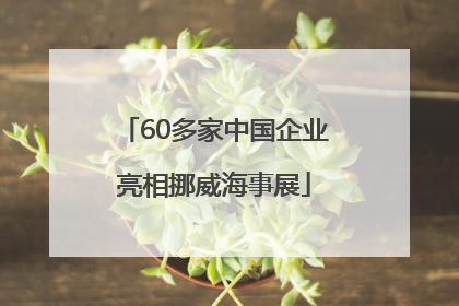 60多家中国企业亮相挪威海事展