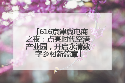 616京津冀电商之夜：点亮时代空港产业园，开启永清数字乡村新篇章