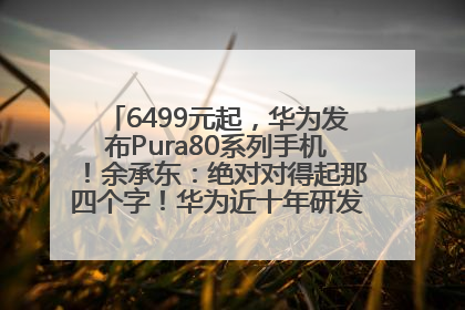 6499元起，华为发布Pura80系列手机！余承东：绝对对得起那四个字！华为近十年研发投入12490亿元